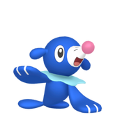 6IV Popplio Indigo Disk Pokemon Scarlet and Violet